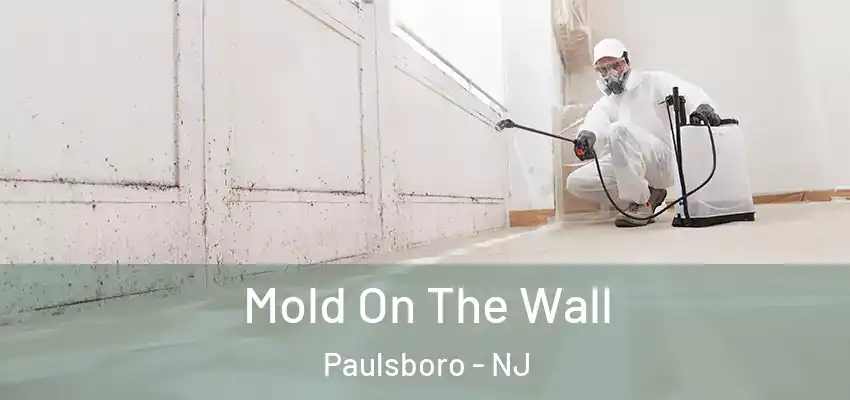 Mold On The Wall Paulsboro - NJ