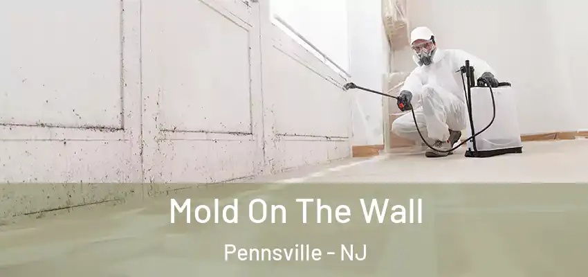 Mold On The Wall Pennsville - NJ
