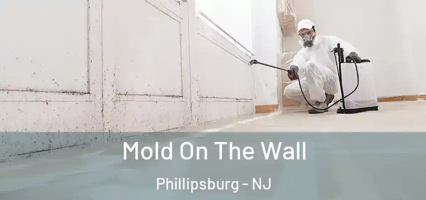  Mold On The Wall Phillipsburg - NJ