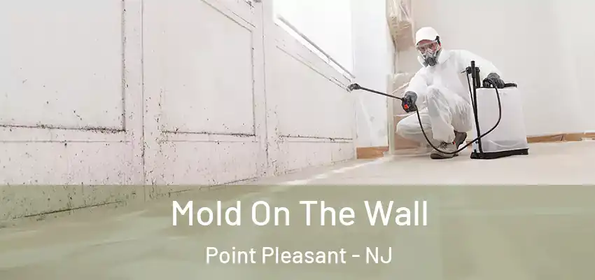 Mold On The Wall Point Pleasant - NJ