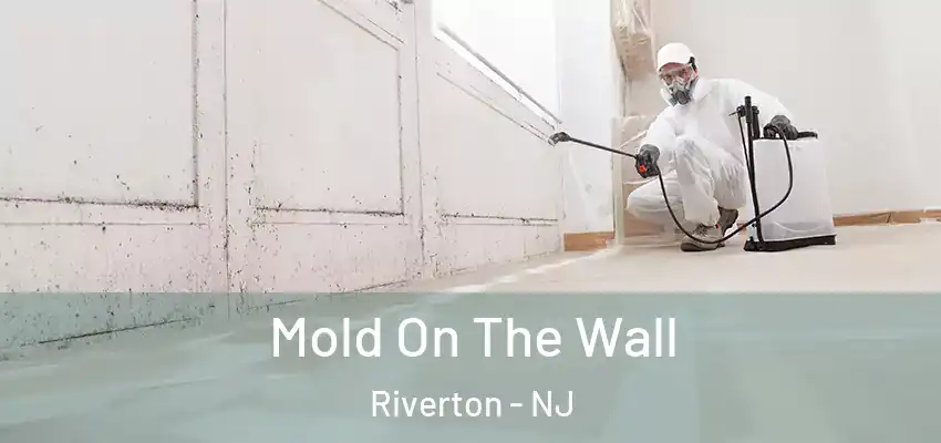  Mold On The Wall Riverton - NJ