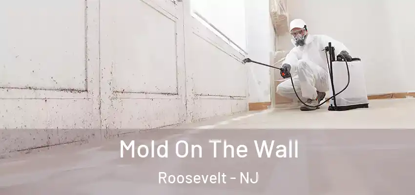 Mold On The Wall Roosevelt - NJ