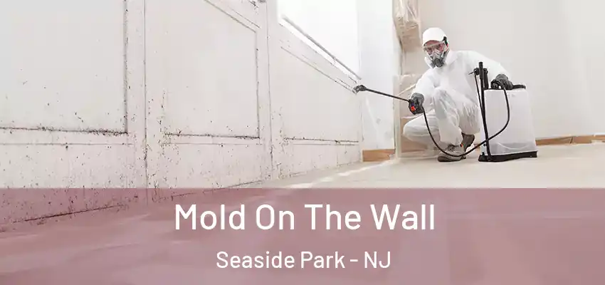  Mold On The Wall Seaside Park - NJ