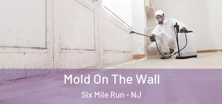 Mold On The Wall Six Mile Run - NJ