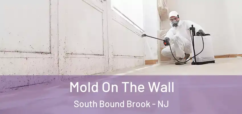 Mold On The Wall South Bound Brook - NJ