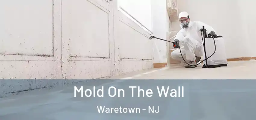  Mold On The Wall Waretown - NJ