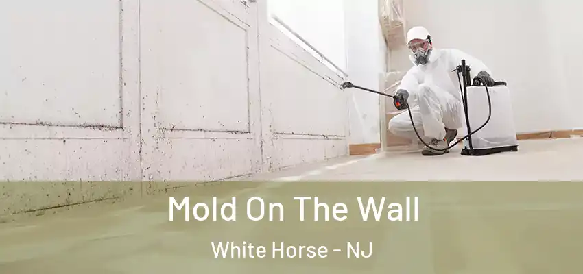 Mold On The Wall White Horse - NJ