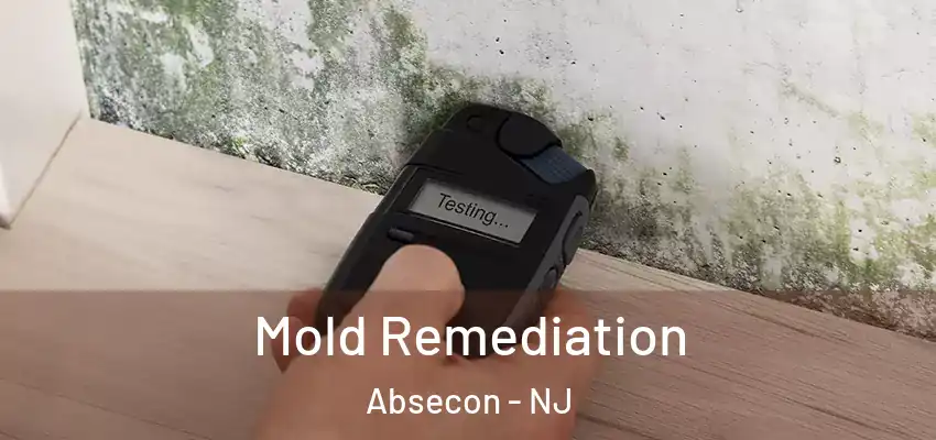 Mold Remediation Absecon - NJ