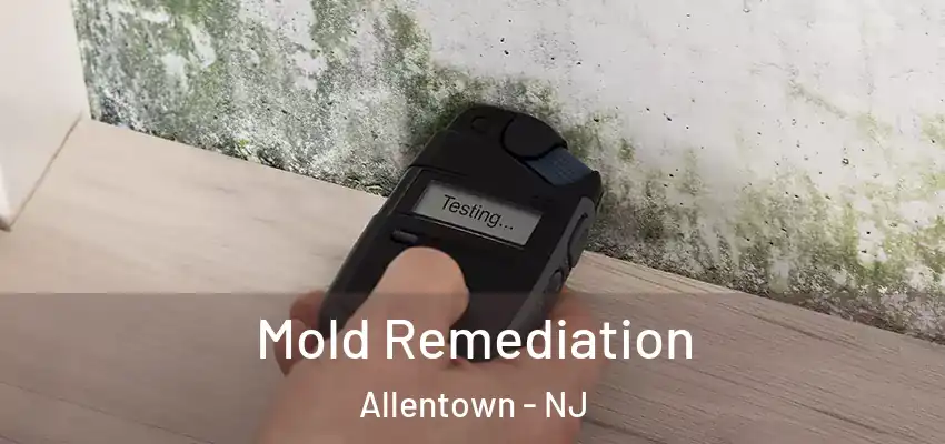 Mold Remediation Allentown - NJ