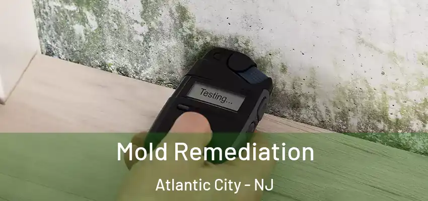 Mold Remediation Atlantic City - NJ