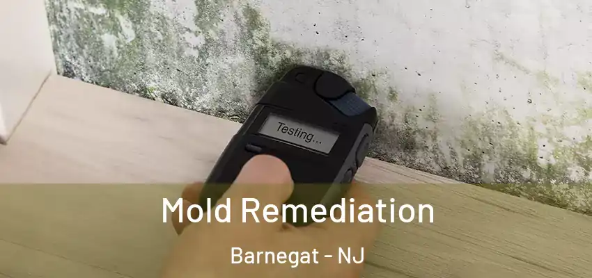 Mold Remediation Barnegat - NJ