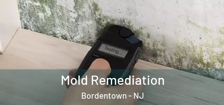 Mold Remediation Bordentown - NJ