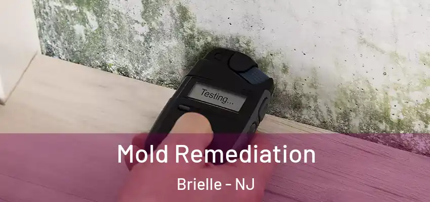  Mold Remediation Brielle - NJ