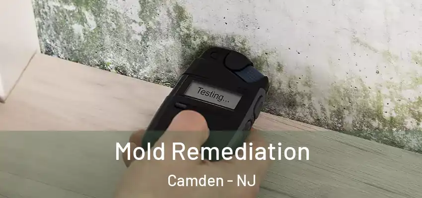 Mold Remediation Camden - NJ
