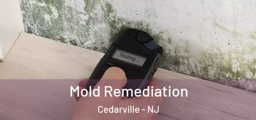 Mold Remediation Cedarville - NJ