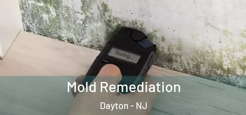 Mold Remediation Dayton - NJ