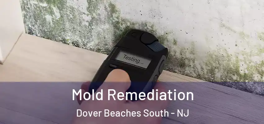  Mold Remediation Dover Beaches South - NJ