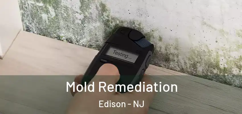  Mold Remediation Edison - NJ