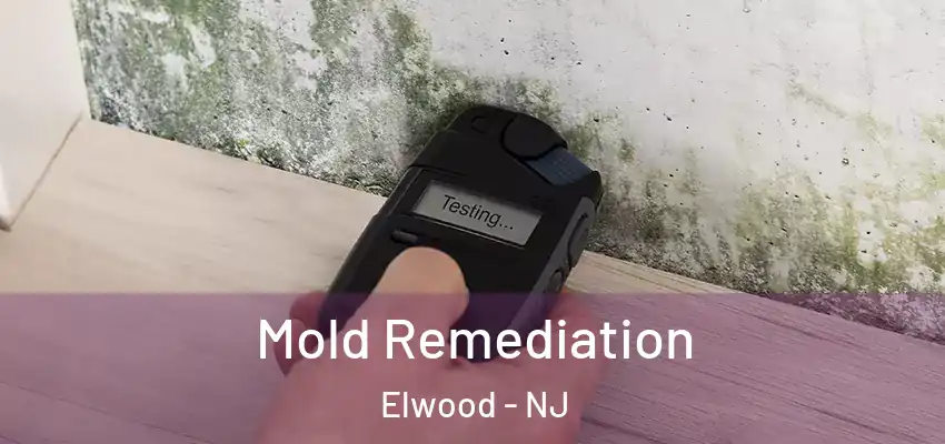 Mold Remediation Elwood - NJ