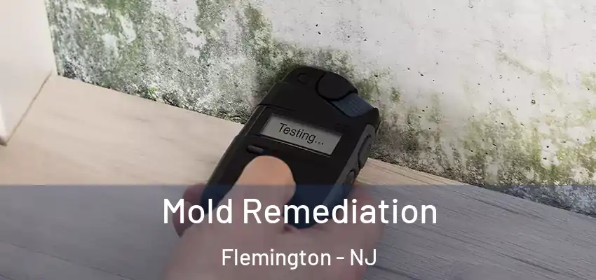  Mold Remediation Flemington - NJ