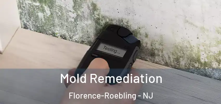  Mold Remediation Florence-Roebling - NJ