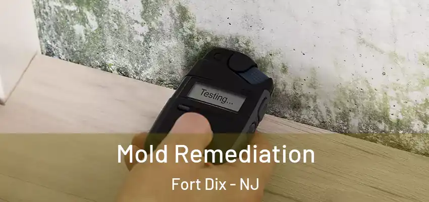 Mold Remediation Fort Dix - NJ
