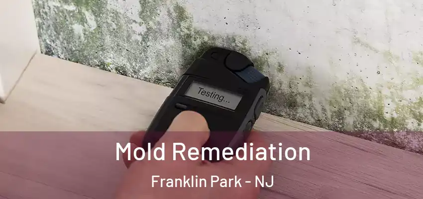  Mold Remediation Franklin Park - NJ