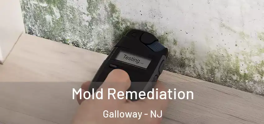 Mold Remediation Galloway - NJ