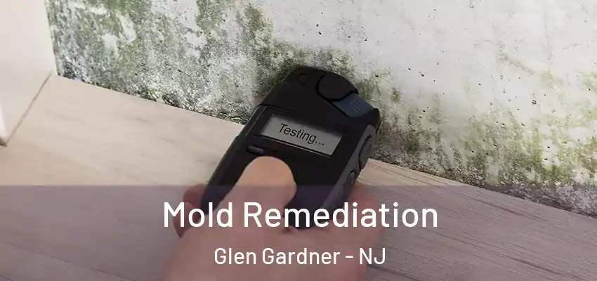  Mold Remediation Glen Gardner - NJ