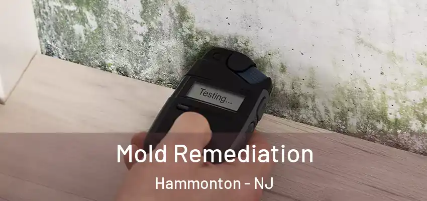 Mold Remediation Hammonton - NJ