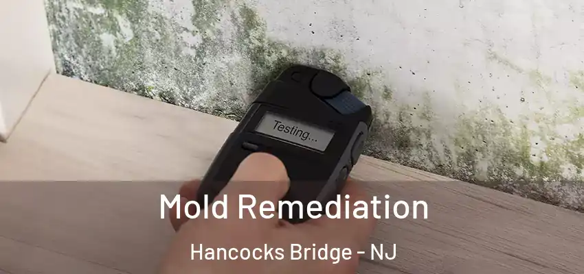Mold Remediation Hancocks Bridge - NJ