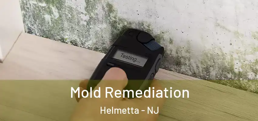  Mold Remediation Helmetta - NJ