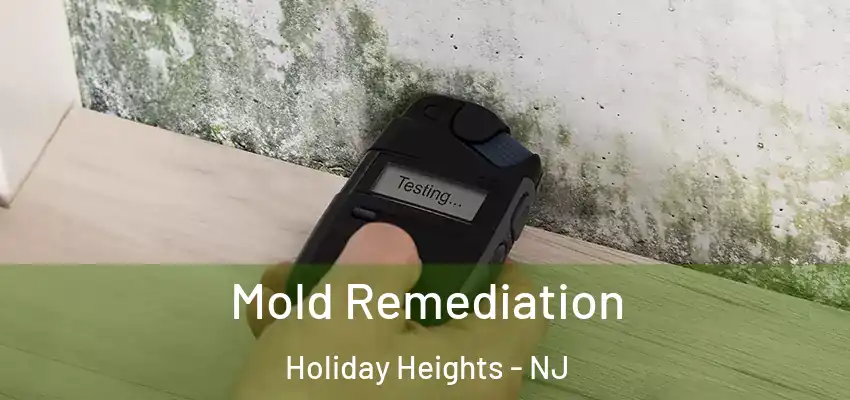 Mold Remediation Holiday Heights - NJ