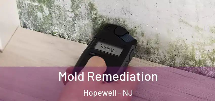 Mold Remediation Hopewell - NJ