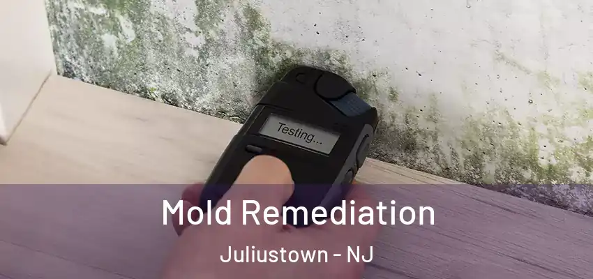 Mold Remediation Juliustown - NJ