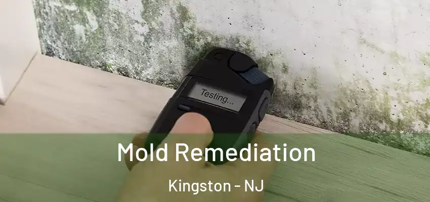 Mold Remediation Kingston - NJ