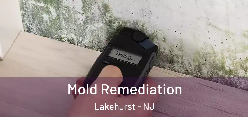  Mold Remediation Lakehurst - NJ