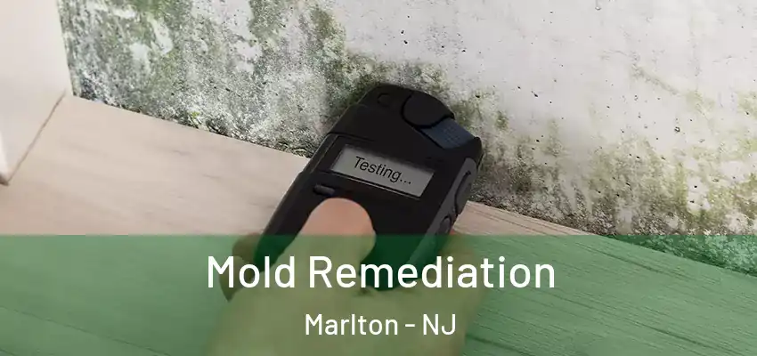 Mold Remediation Marlton - NJ