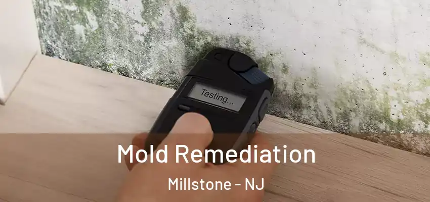  Mold Remediation Millstone - NJ