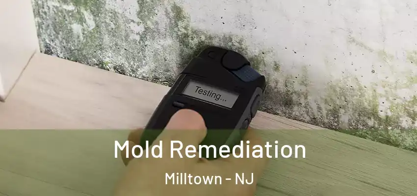 Mold Remediation Milltown - NJ