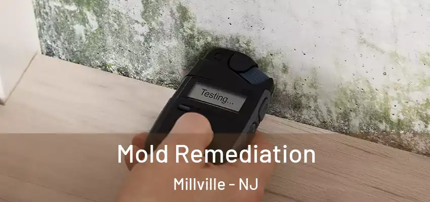 Mold Remediation Millville - NJ