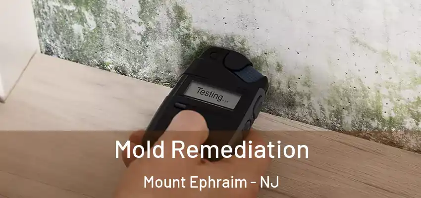 Mold Remediation Mount Ephraim - NJ