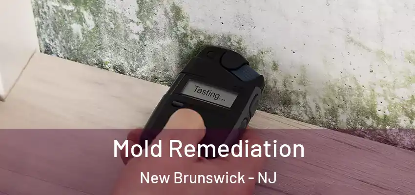 Mold Remediation New Brunswick - NJ