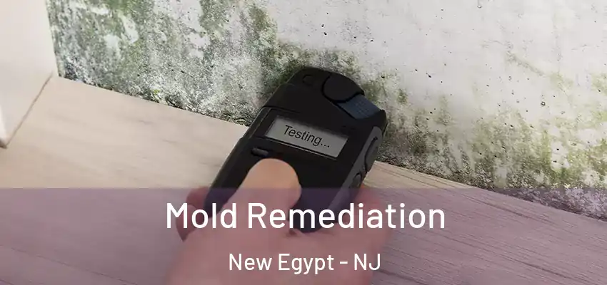 Mold Remediation New Egypt - NJ