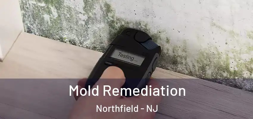 Mold Remediation Northfield - NJ