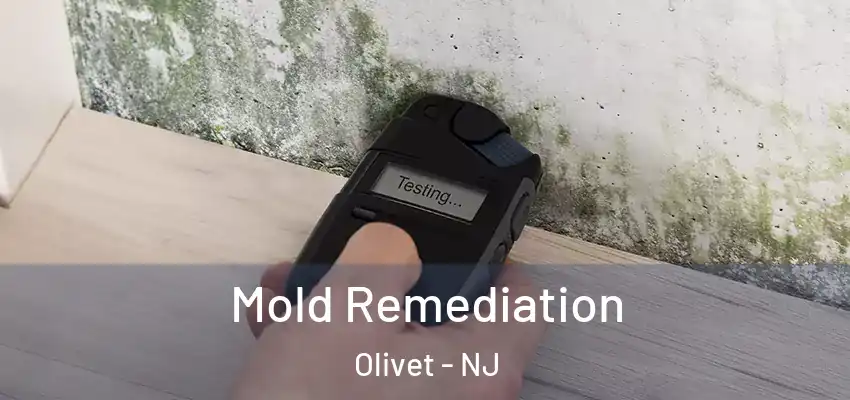 Mold Remediation Olivet - NJ