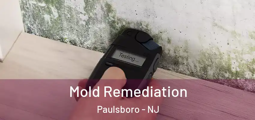 Mold Remediation Paulsboro - NJ