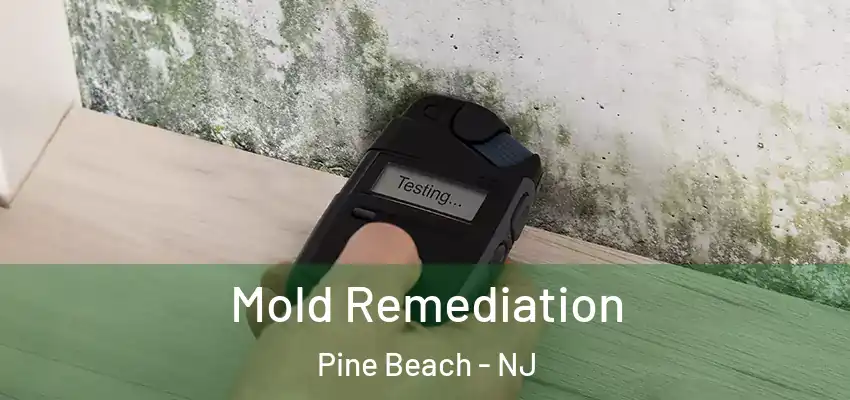  Mold Remediation Pine Beach - NJ