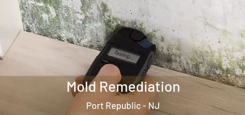 Mold Remediation Port Republic - NJ