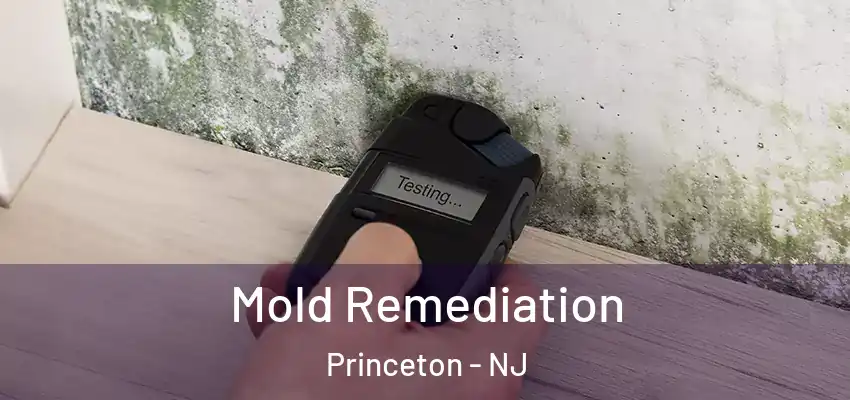 Mold Remediation Princeton - NJ